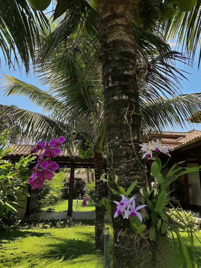 Appartamento Casa Pomar Do Aconchego Parati Esterno foto